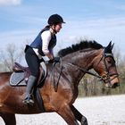 Dynamik Pferd und Reiterin