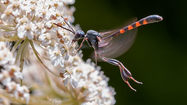Dynamische Betankung