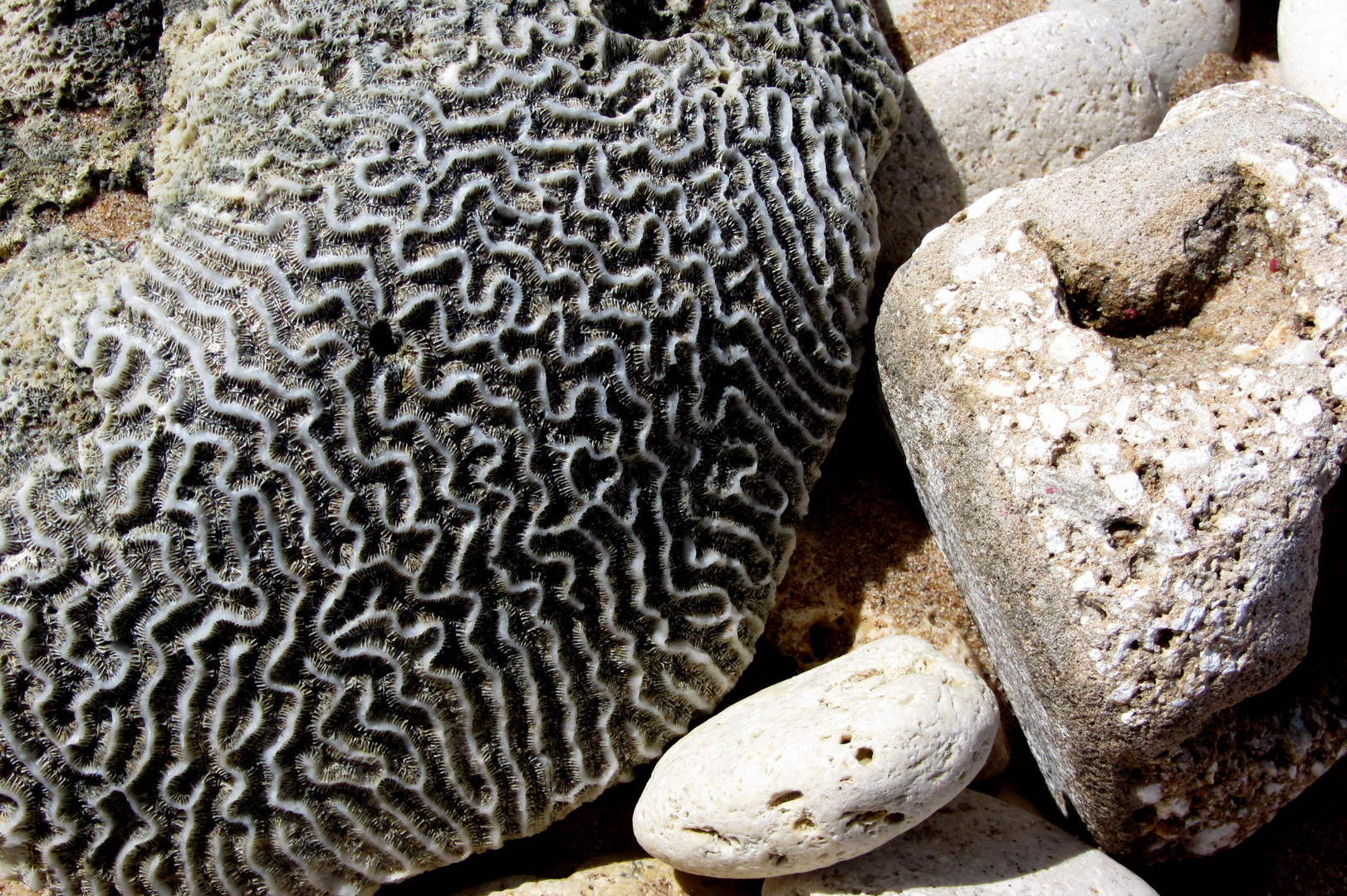 dynamische Steine am Strand