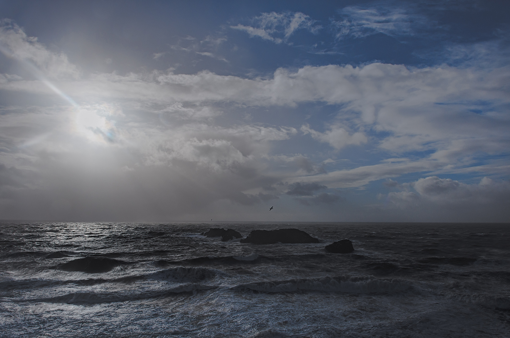 Dyrhólaey (schwarzer Strand bei Vík)