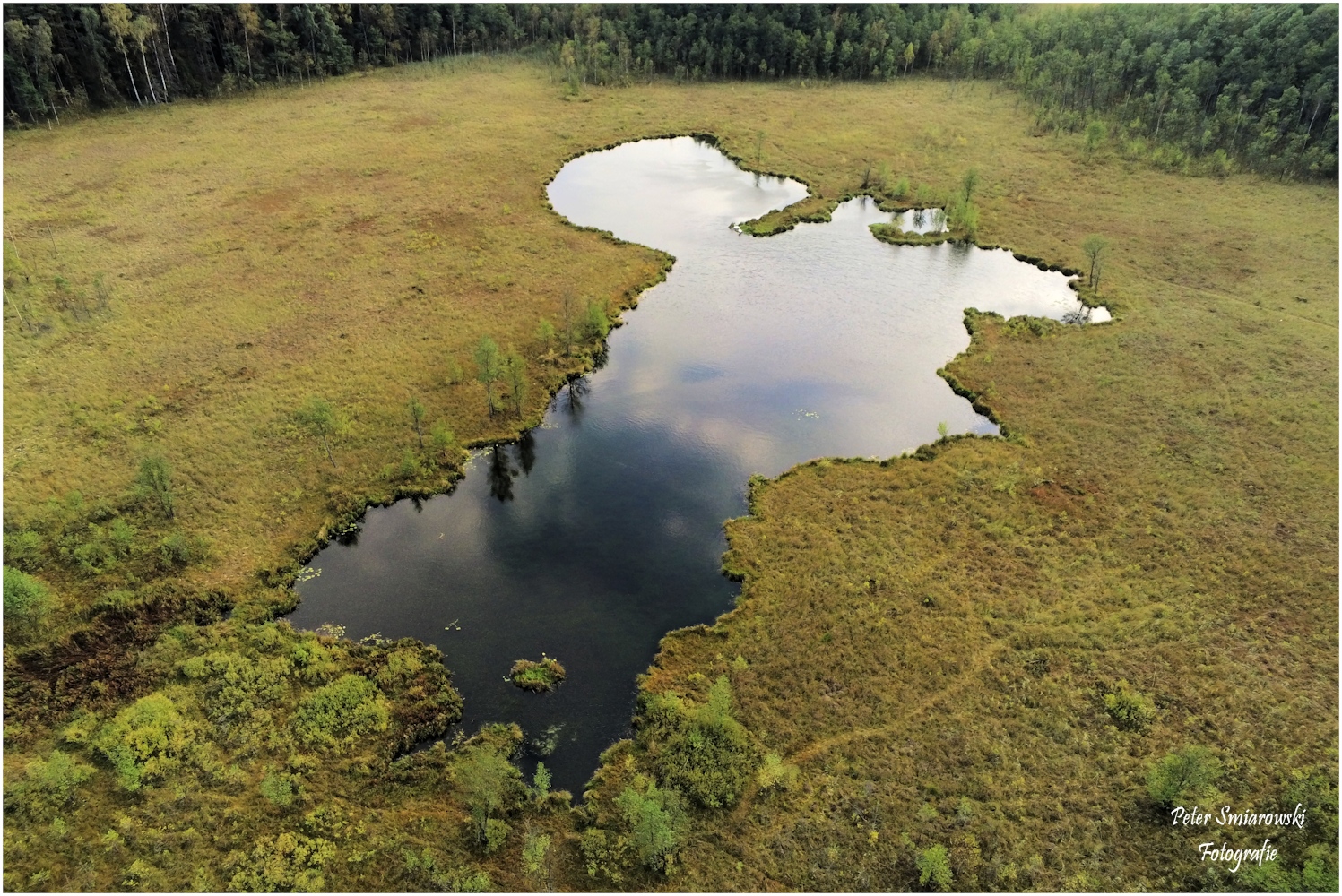 Dystriophischer See in der Sumpflandschaft 