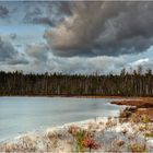 Dystrophischer See bei Rekownica 