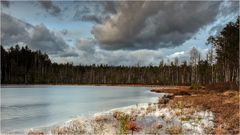 Dystrophischer See bei Rekownica 