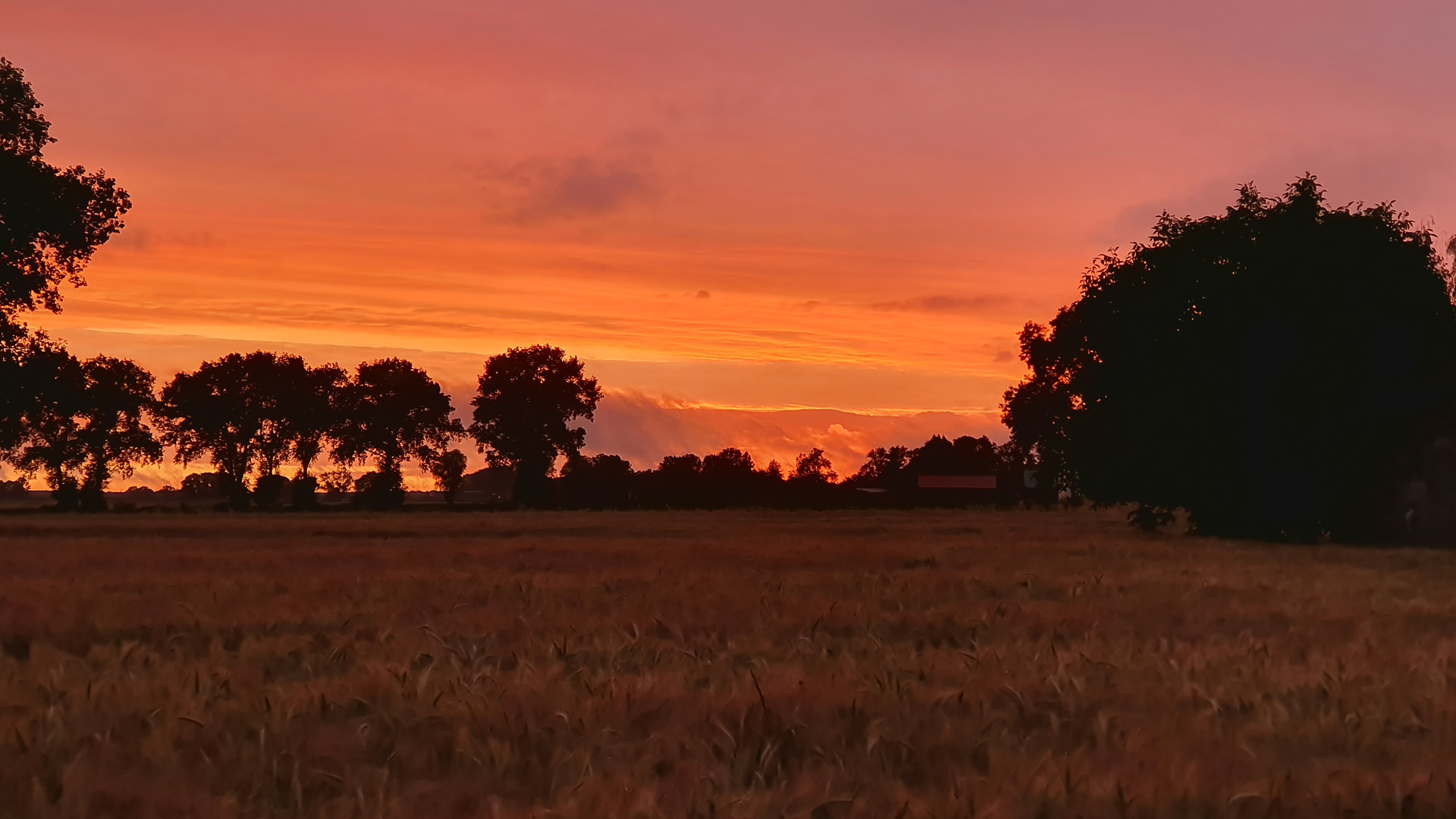 Dzwierszno Male Sunset