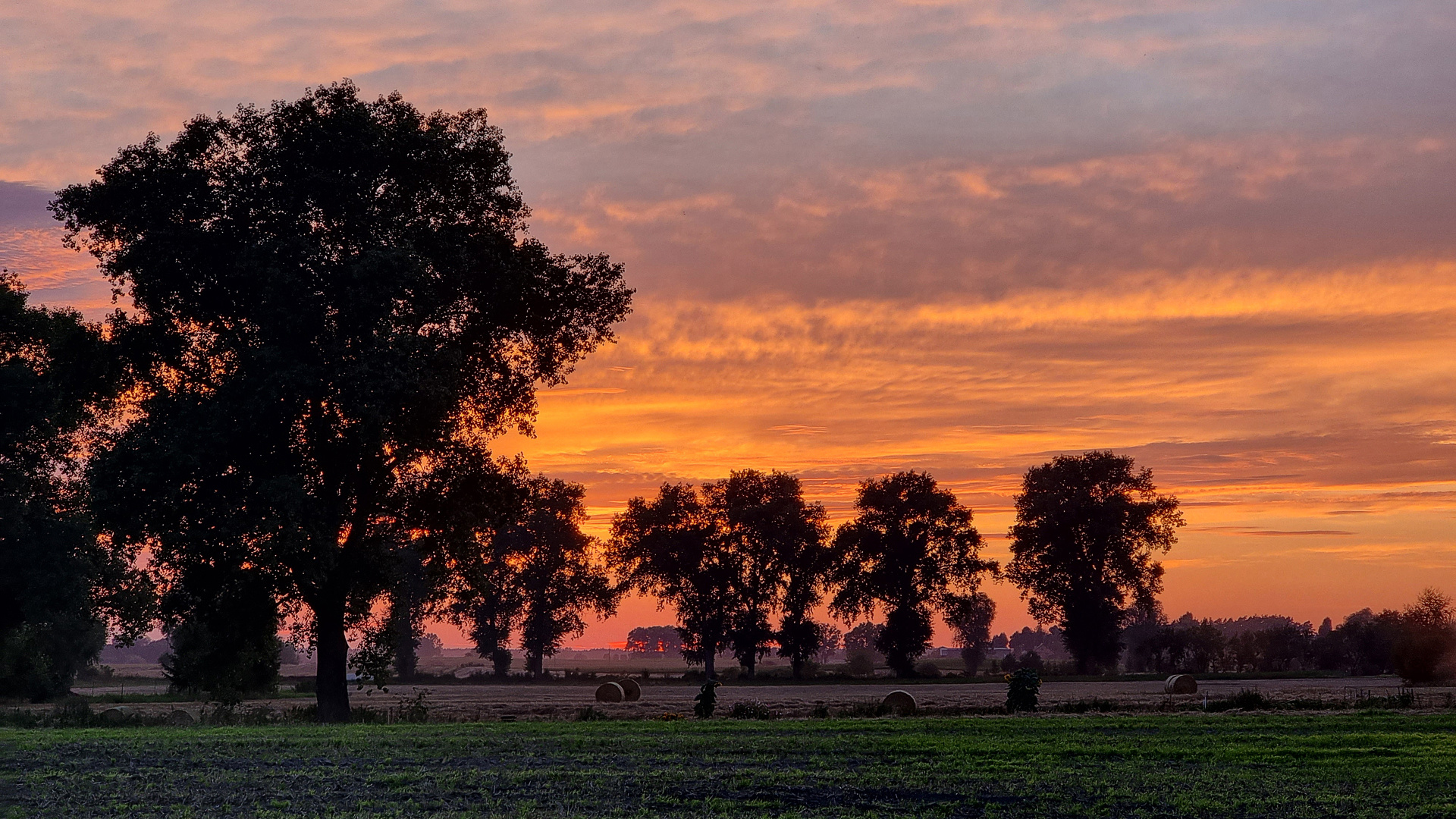 Dzwierszno Male Sunset