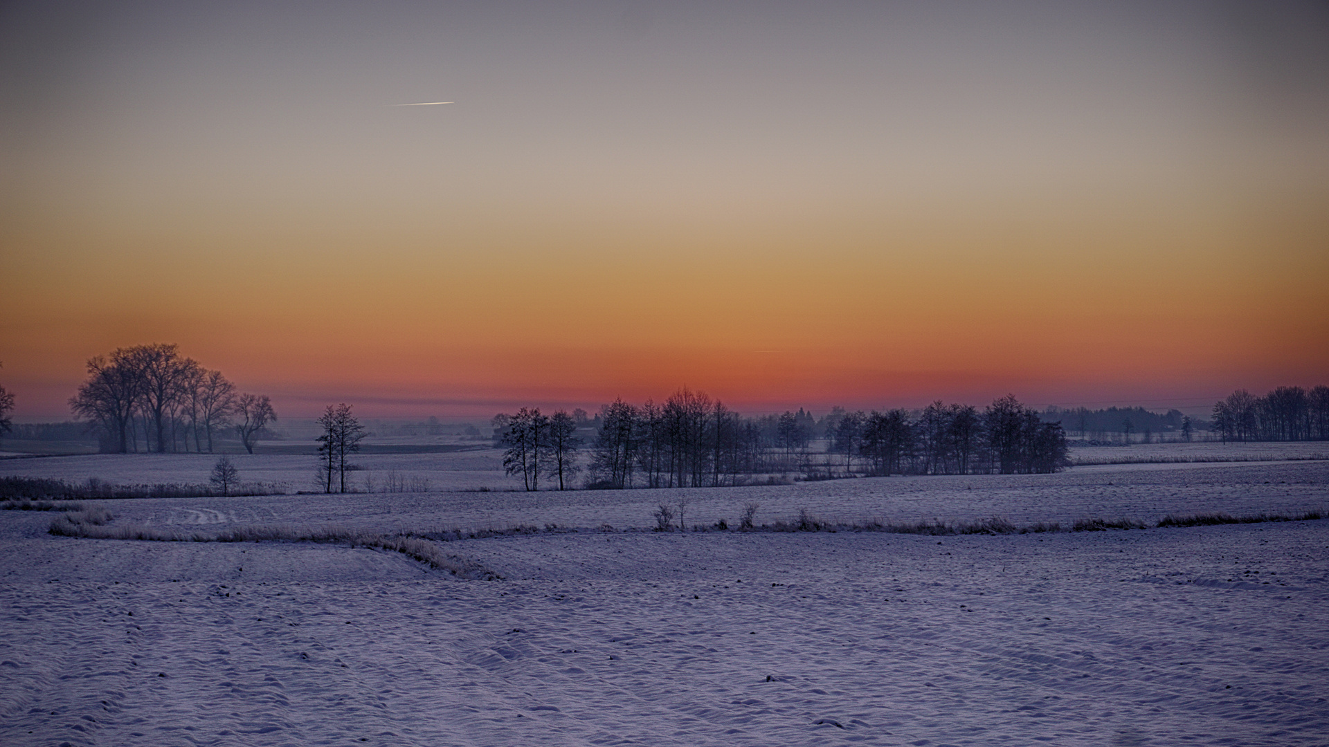 Dzwierszno Male Sunset No. 4