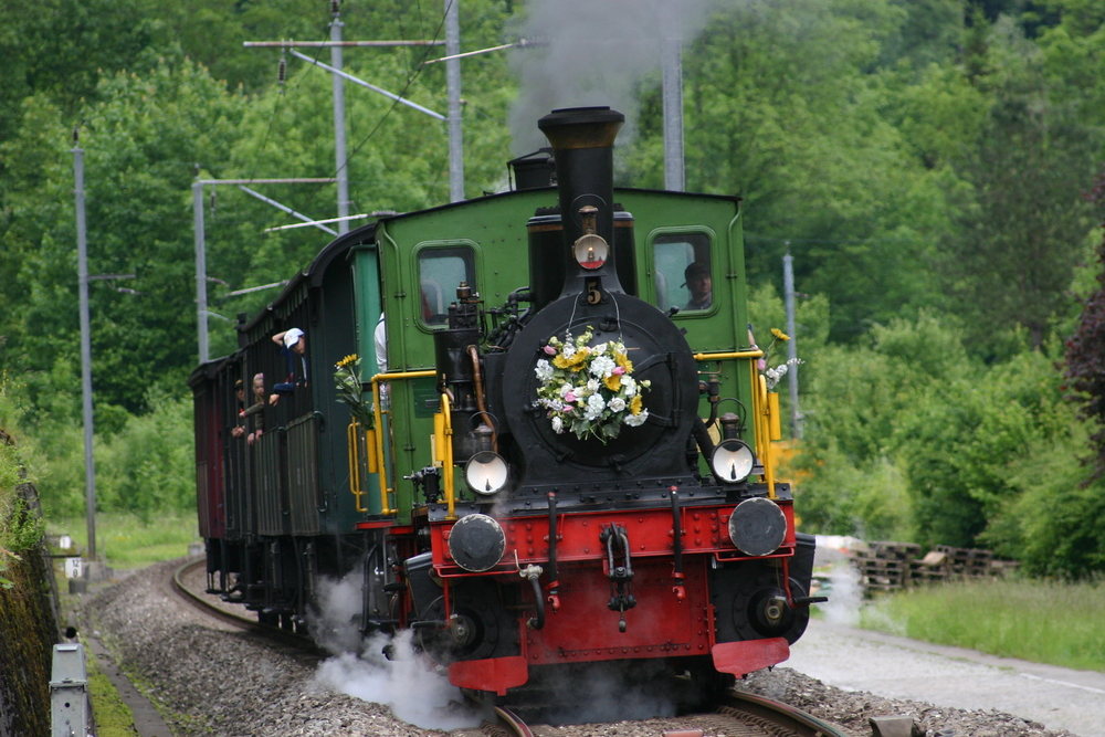 E 3/3 "Schnaaggi-Schaaggi" bei Sihlwald