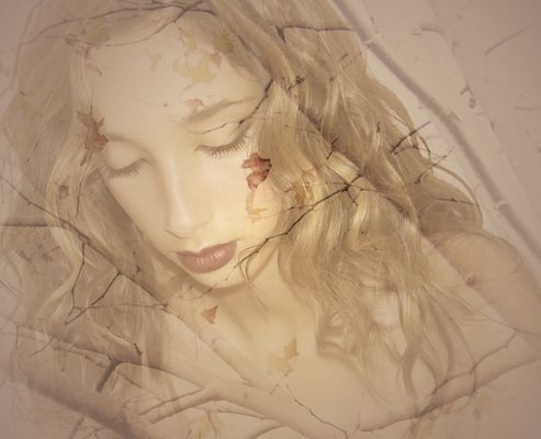 "E all’improvviso, l’estate sprofondò nell’autunno."