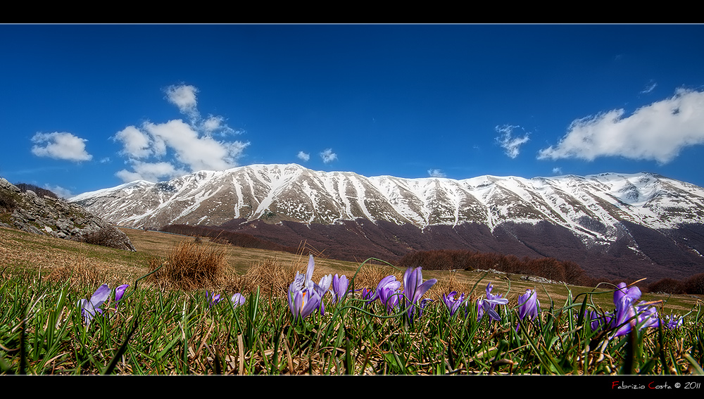 E' arrivata la primavera