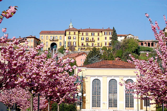 E' arrivata la primavera nella mia città