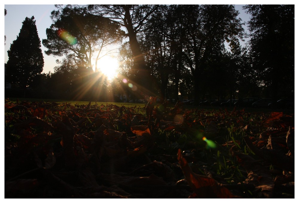 è arrivato l'autunno