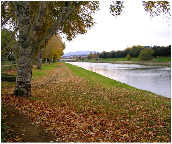 E' Autunno.....anche lungo il fiume