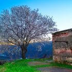 ... e c'è già aria di primavera ...