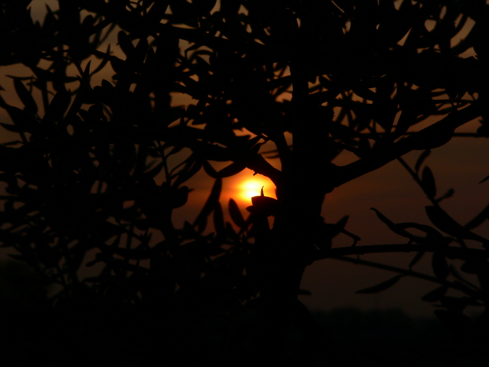 E come il sole tutto ......pian piano arriverà