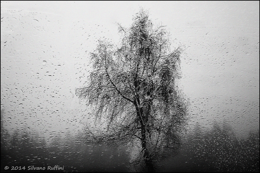 ... E FUORI .... L'AUTUNNO ..!! ...