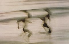 E. Haas - runners - 1958