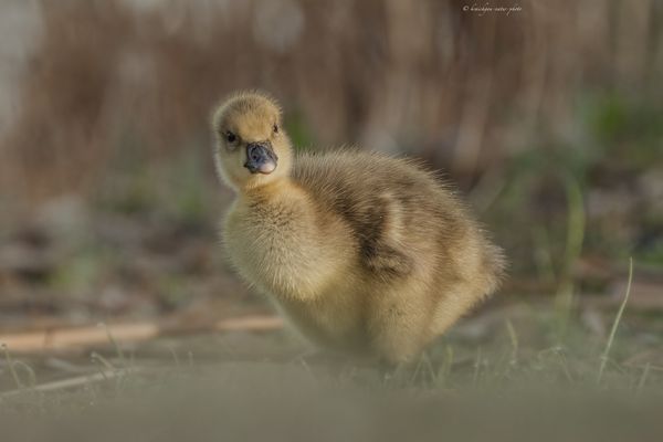 e i n e s . v o n . s i e b e n