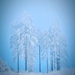 e i s blau