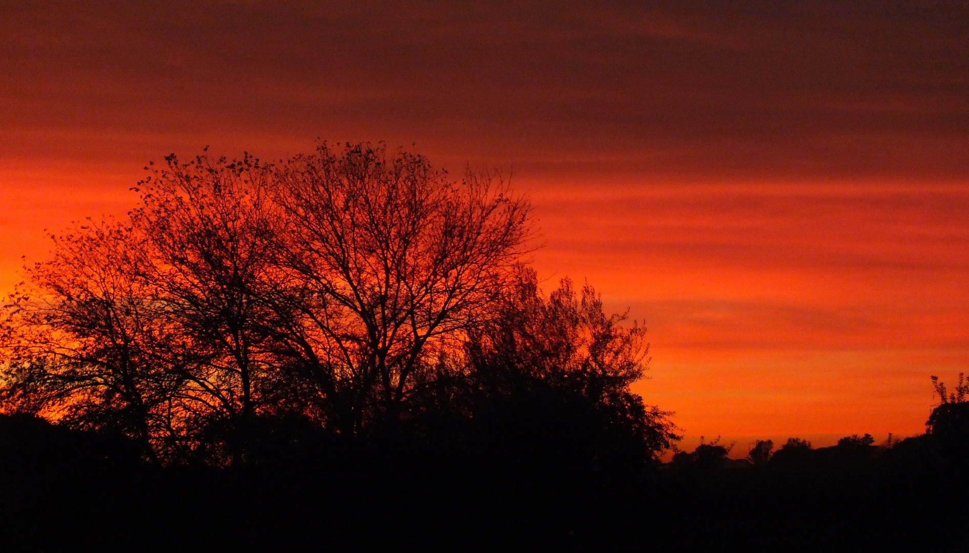 ...e il cielo si tinse di rosso