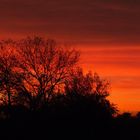 ...e il cielo si tinse di rosso