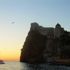 ...e il gabbiano solitario si levò in volo dall'antico Castello Aragonese