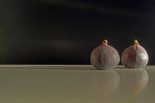 E' il tempo dei fichi.