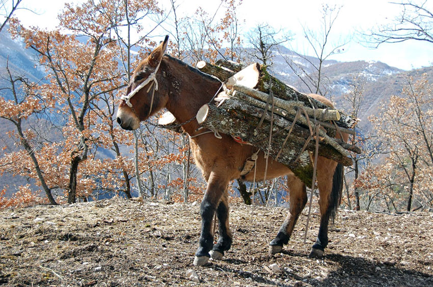 e io lavoro......