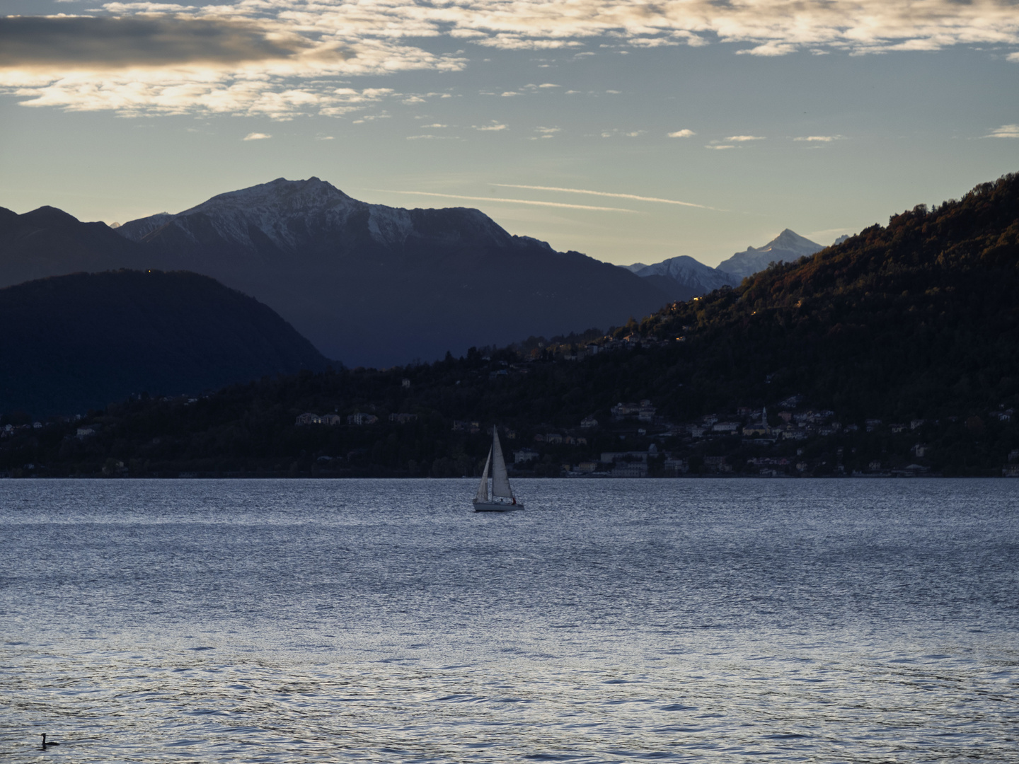 ... e la barca tornò sola