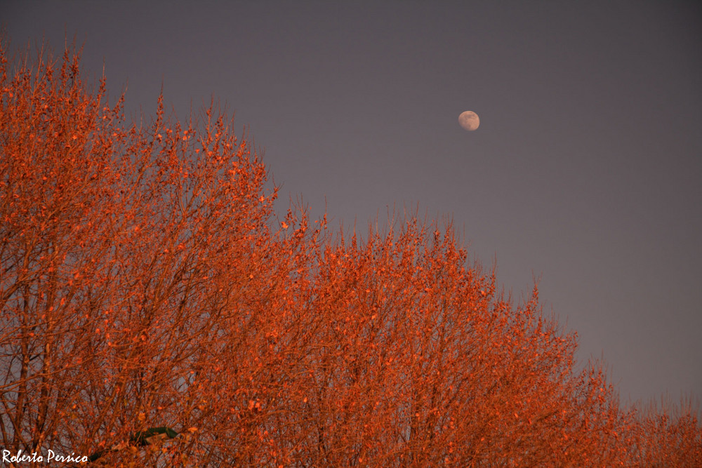 E la luna bussò....