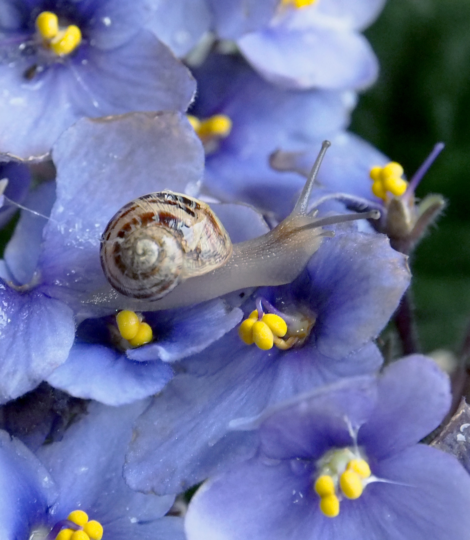 E la natura si anima....