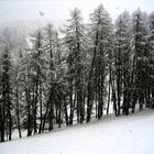 E la neve scese,scese,scese...