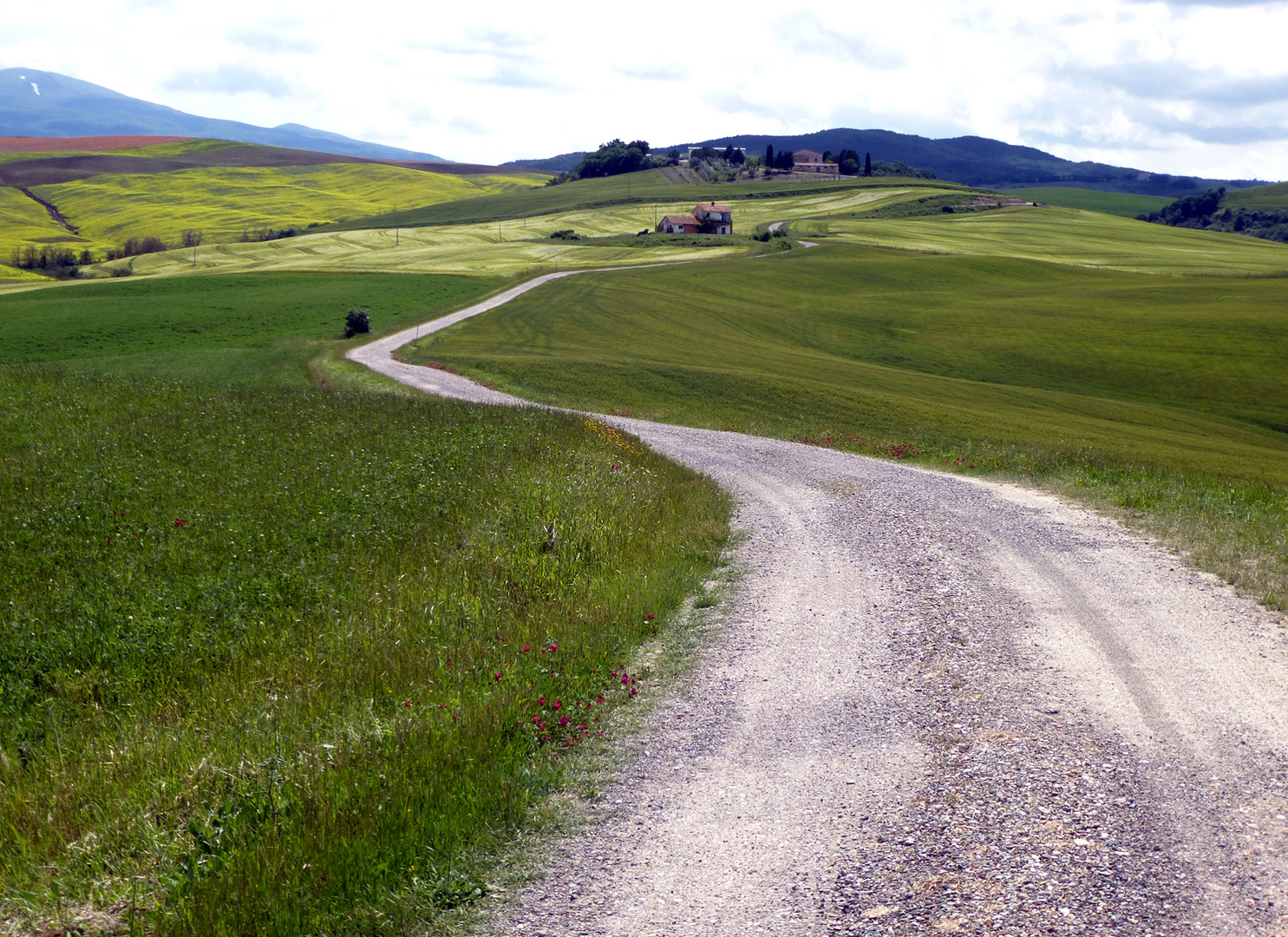 E LA STRADA VA