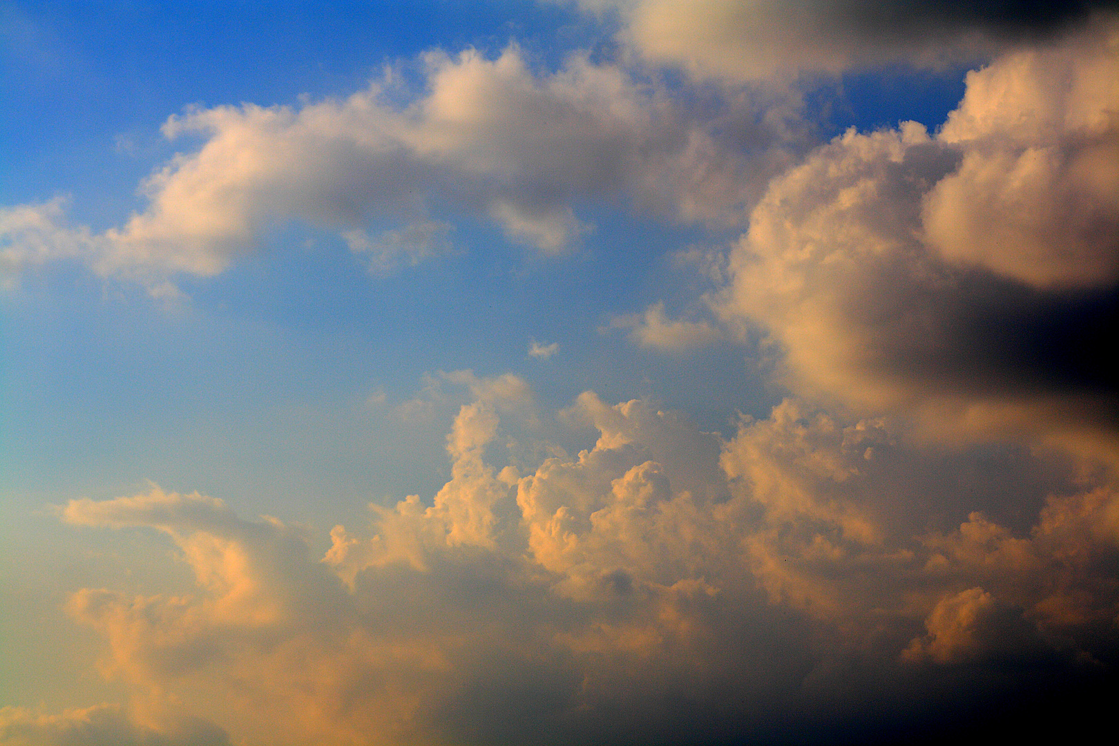 E la Tempesta Arrivò