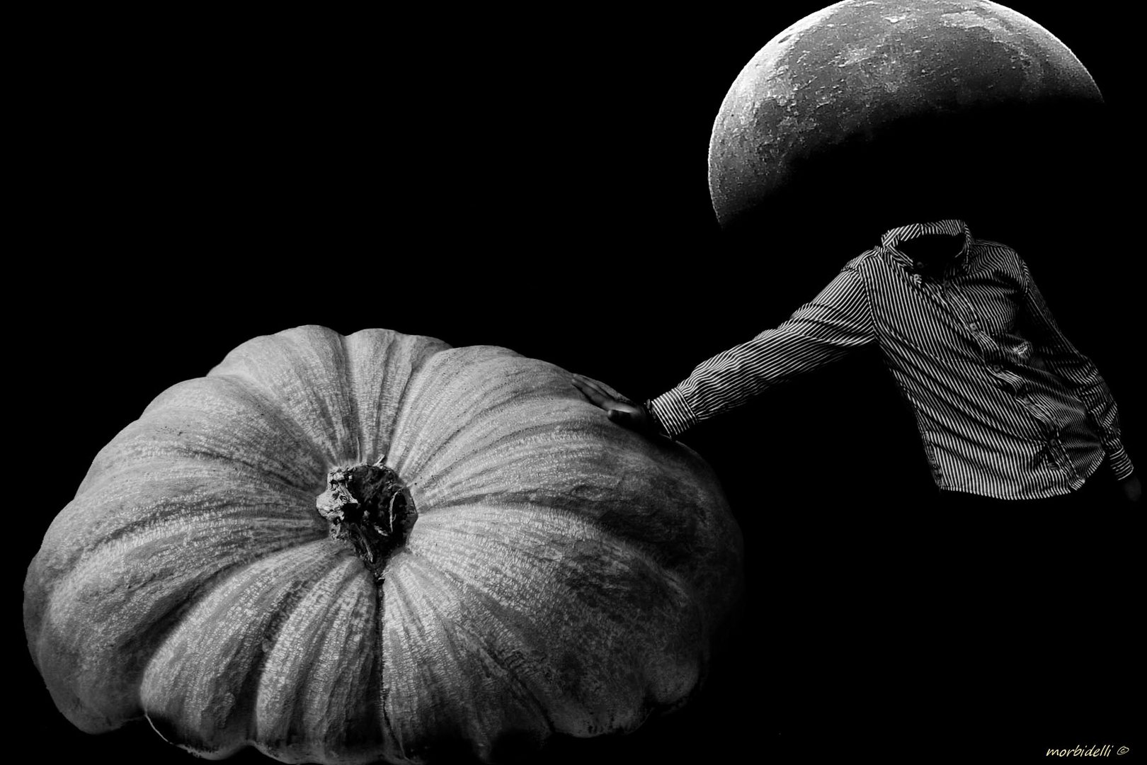 e la zucca?..... la variante