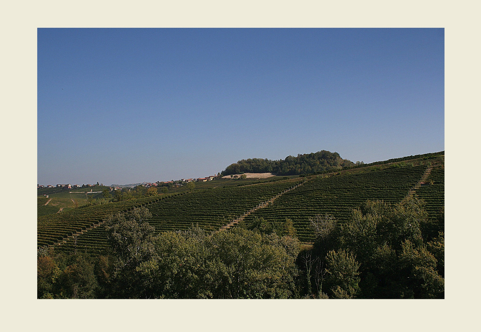 .. e le sue colline rivestite di vigneti ..