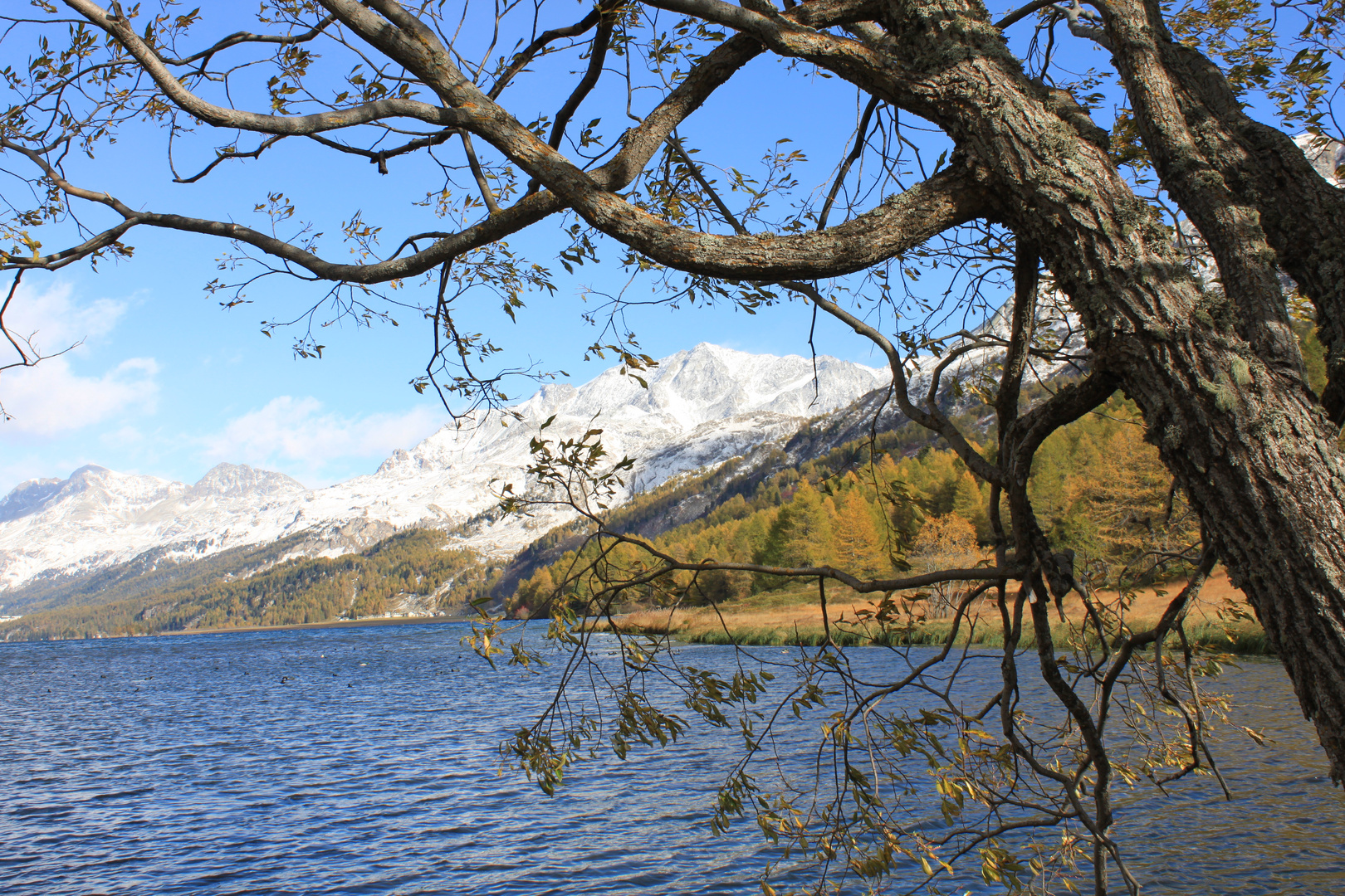 E l`inverno sta per arriva un`altra volta