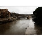 " E lungo il tevere......."