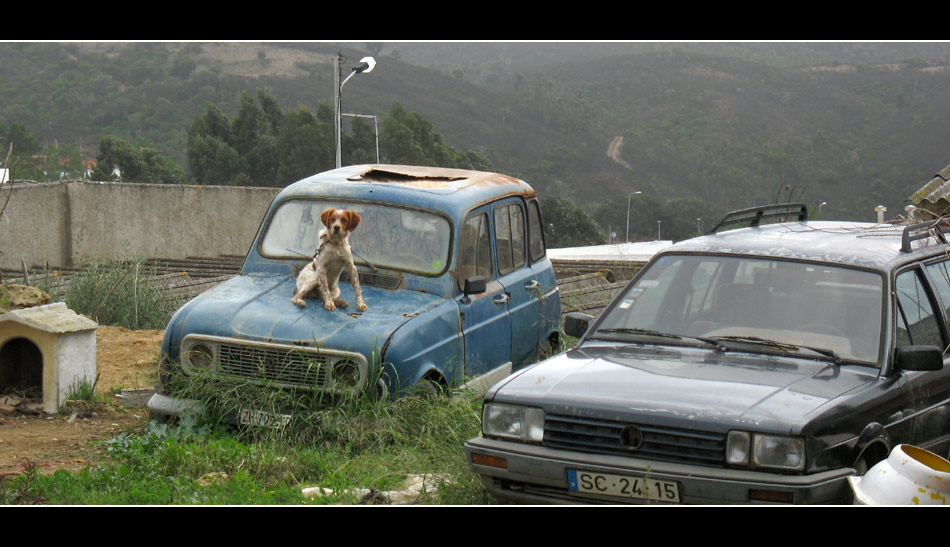 E meu carro, estrangeiro!