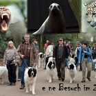 E ne Besuch im Zoo ( Geschichte in 16 Bildern )