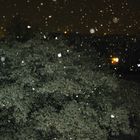 E' notte e....nevica!