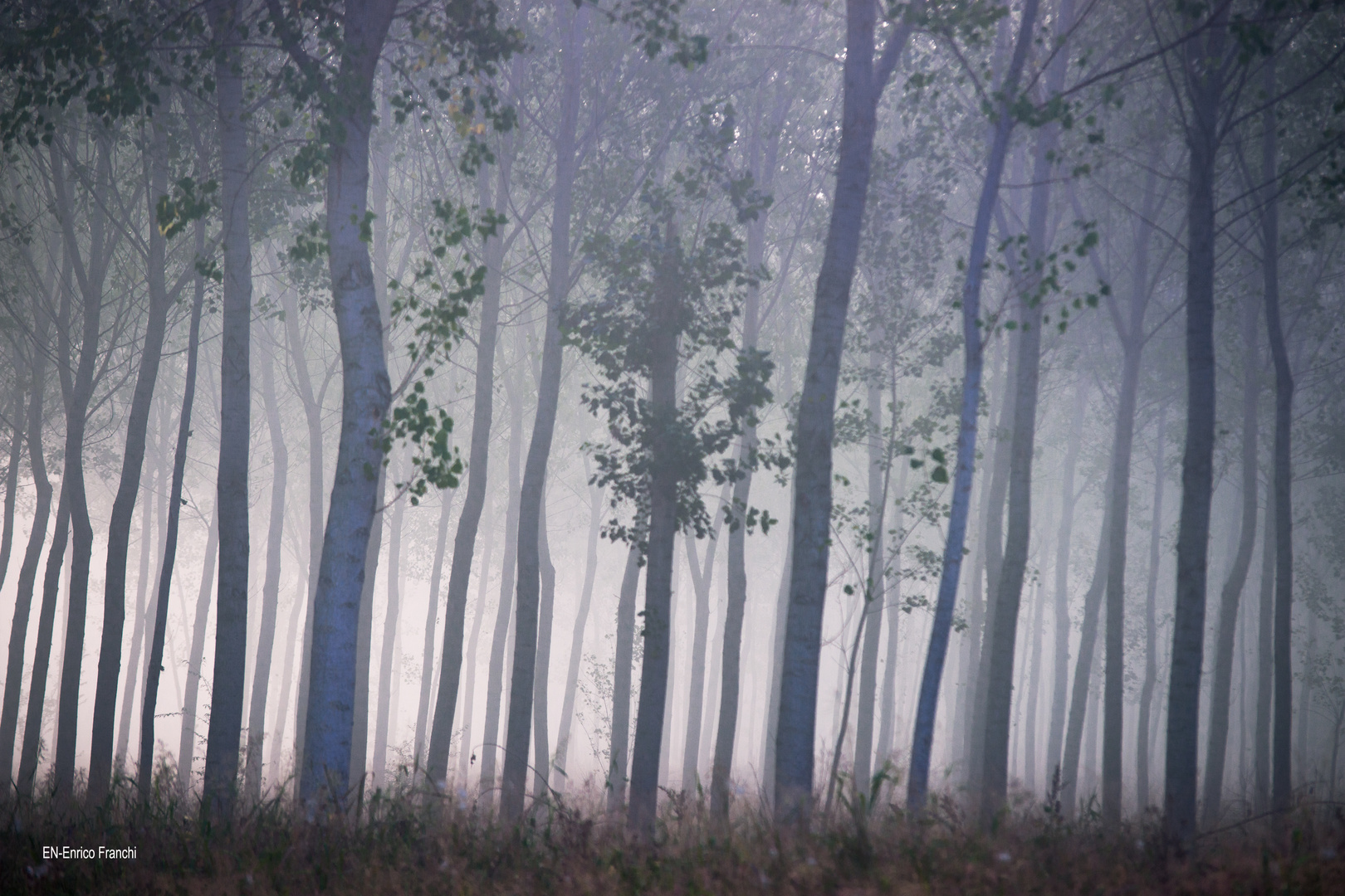 ... e poi scende la nebbia