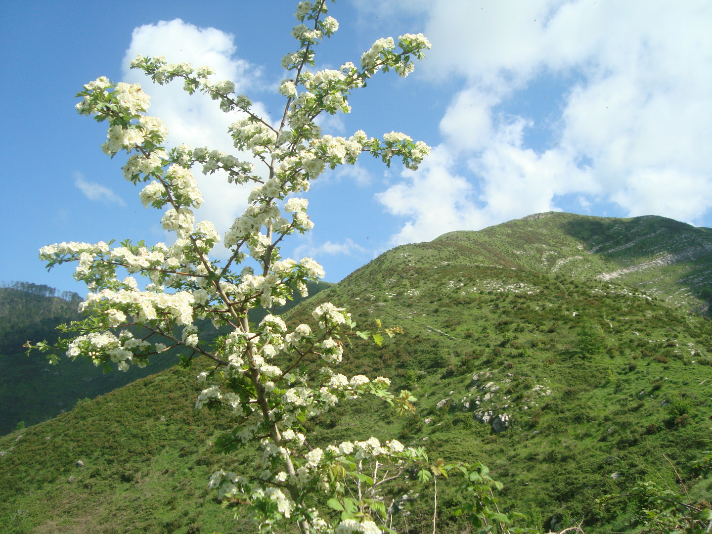 E' primavera finalmente