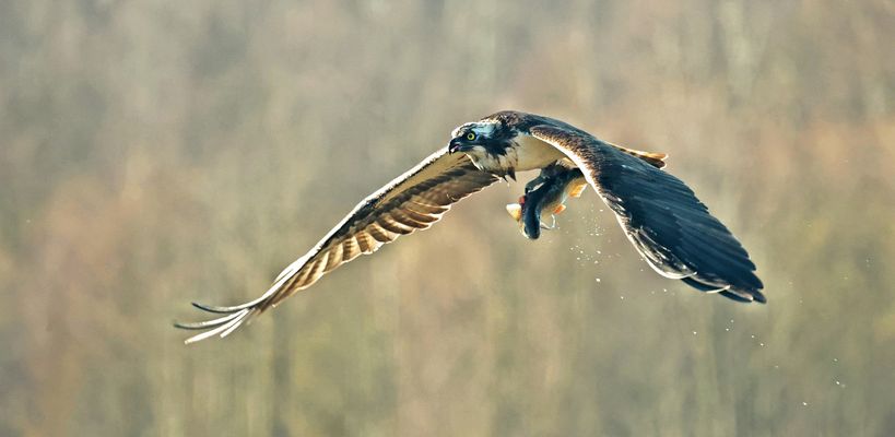 E R F O L G R E I C H