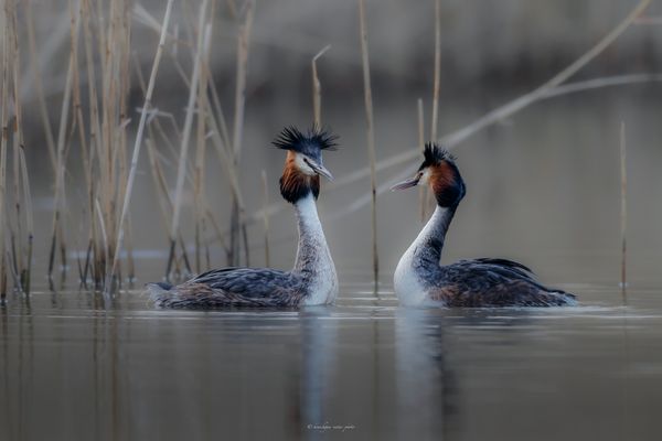 e r s t e . A n n ä h e r u n g 