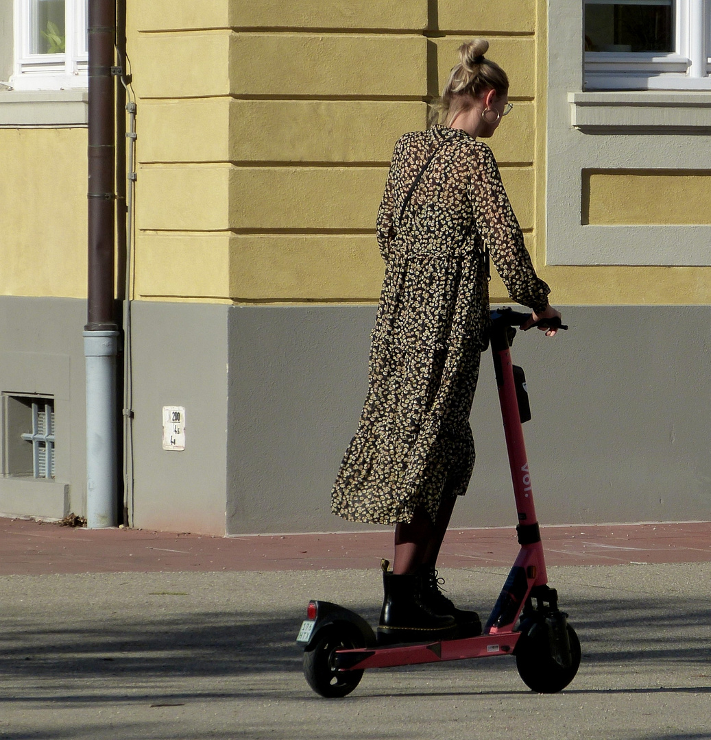 E-Roller vorm Karlsruher Schloss