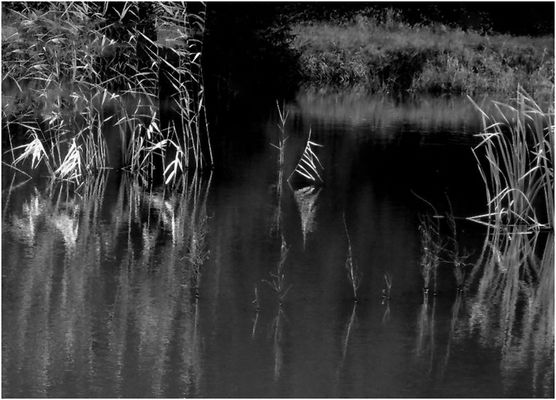 E S . I S T . S T I L L . G E W O R D E N