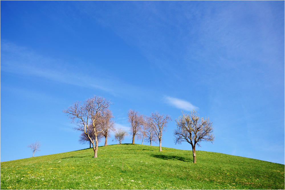 è scoppiata primavera!!!