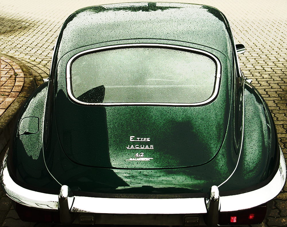 E-Type: a wet dream