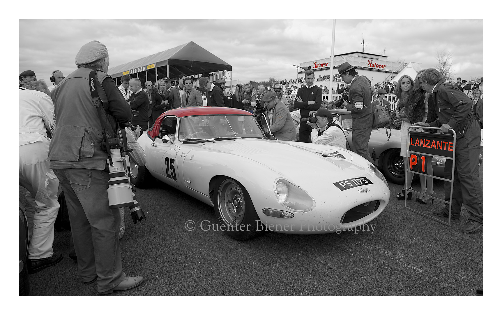 E-Type, Adrian Newy and Martin Brundle...