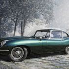 E-Type-Katze